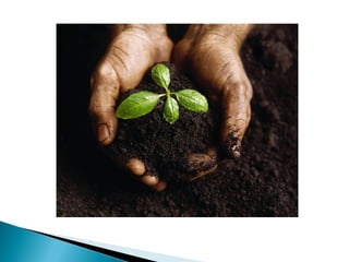 Mat geo 1ºem_solos_19-06-2013