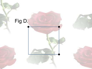 	Fig D.