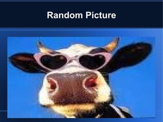 Random Picture 