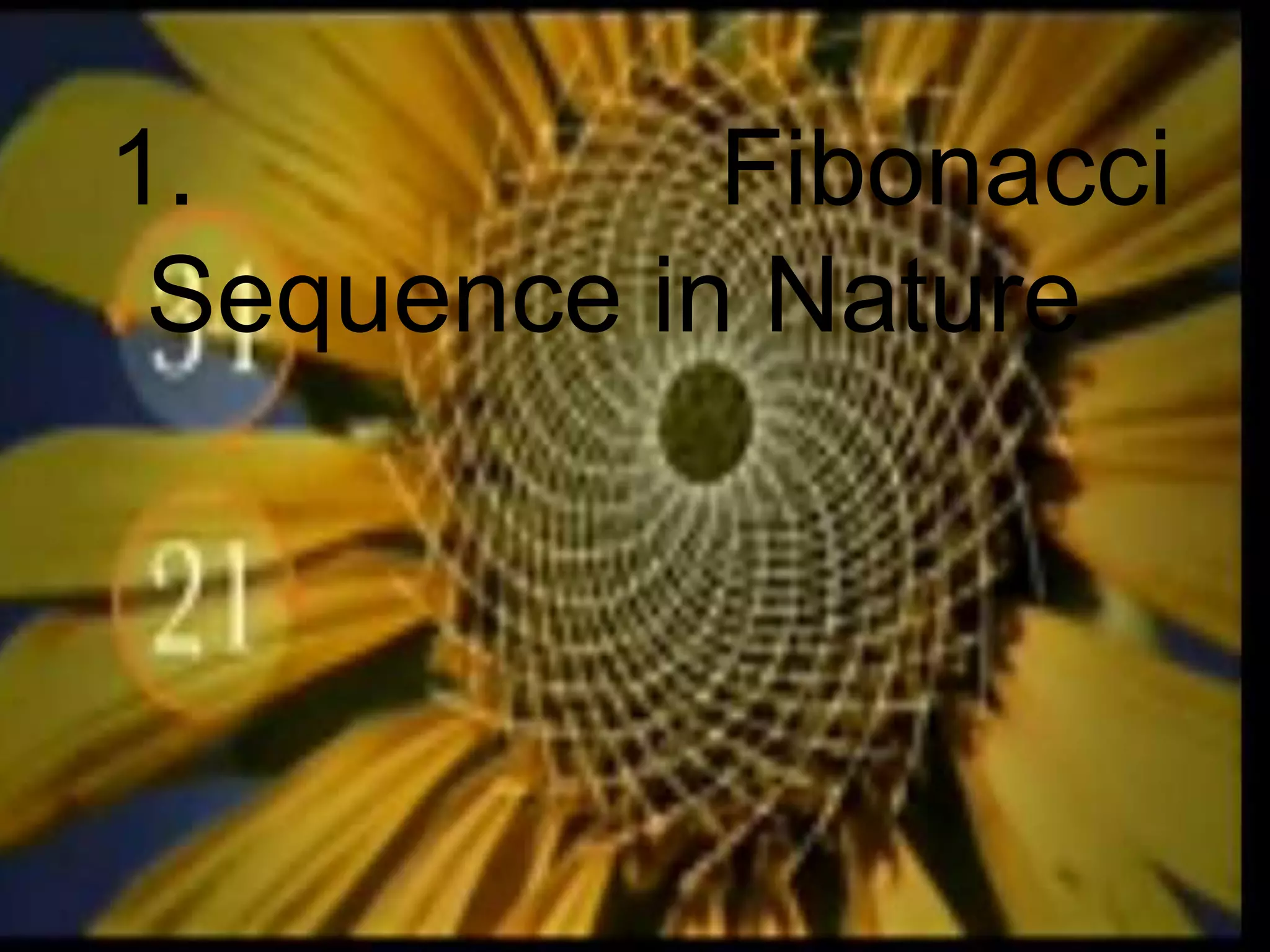 math-114-powerpoint-ppt