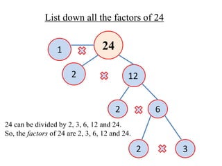 24
2 12
2 6
2 3
List down all the factors of 24
1
24 can be divided by 2, 3, 6, 12 and 24.
So, the factors of 24 are 2, 3, 6, 12 and 24.
 