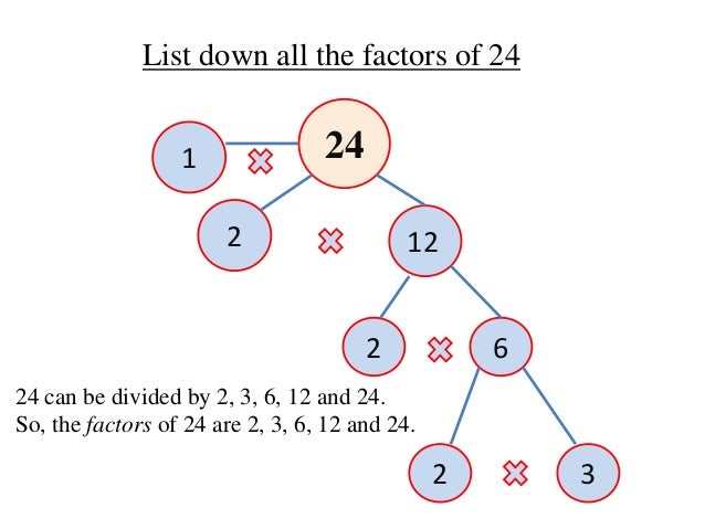 math factor 24 chapter 3 factors Math.6