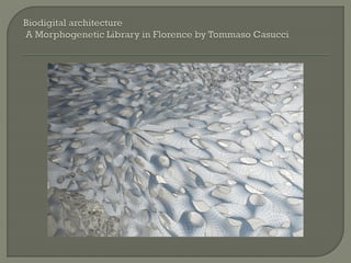 Math. in architecture | PDF