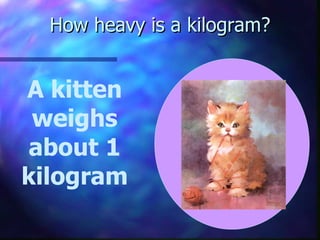 How heavy is a kilogram? A kitten weighs about 1 kilogram