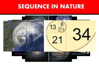 SEQUENCE IN NATURE
 