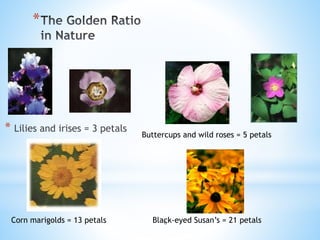 Math 140 fibonacci and golden ratio