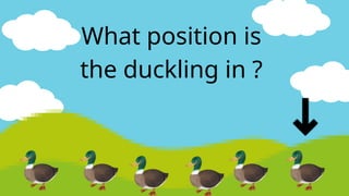 What position is
the duckling in ?
 