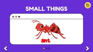 SMALL THINGS
ant
 
