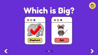 Which is Big?
Elephant Rat
 
