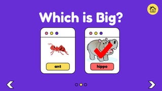 Which is Big?
ant hippo
 