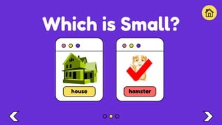 Which is Small?
house hamster
 