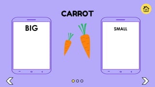 CARROT
BIG SMALL
 