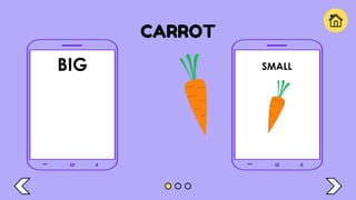 CARROT
BIG SMALL
 