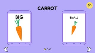 CARROT
BIG SMALL
 