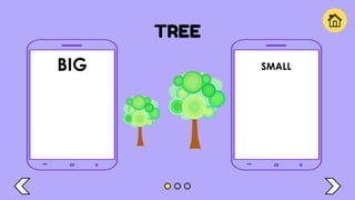 TREE
BIG SMALL
 