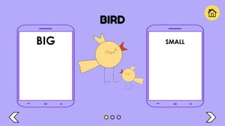 BIRD
BIG SMALL
 