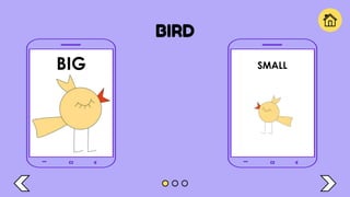 BIRD
BIG SMALL
 