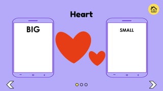 Heart
BIG SMALL
 
