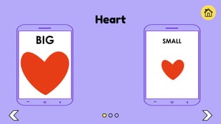 Heart
BIG SMALL
 