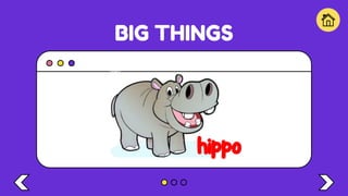 BIG THINGS
hippo
 