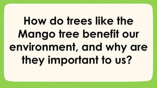 How do trees like the
Mango tree benefit our
environment, and why are
they important to us?
 