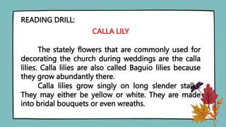 READING DRILL:
CALLA LILY
The stately flowers that are commonly used for
decorating the church during weddings are the calla
lilies. Calla lilies are also called Baguio lilies because
they grow abundantly there.
Calla lilies grow singly on long slender stalks.
They may either be yellow or white. They are made
into bridal bouquets or even wreaths.
 