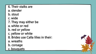 6. Their stalks are
a. slender
b. stout
c. wide
7. They may either be
a. white or red
b. red or yellow
c. yellow or white
8. Brides use Calla lilies in their:
a. wreaths
b. corsage
c. bouquets
 
