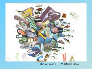 Davey Hitzert B1N: 77 different fishes
 
