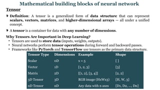 Tensor Data Type Mathematical building blocks of neural network.pptx