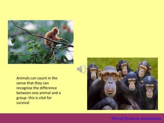 Animals can count in the
sense that they can
recognise the difference
between one animal and a
group- this is vital for
survival


                           Wirral Dyslexia Association
 