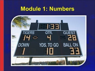 Module 1: Numbers 
