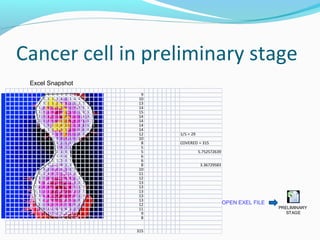 Mathematical modeling in the diagnosis of cancer | PPT