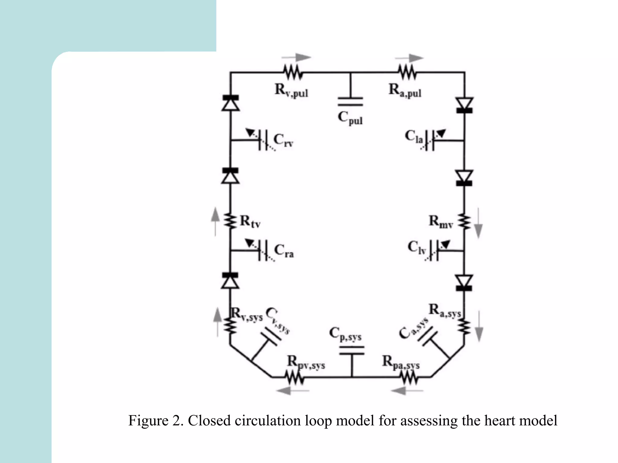 Figure 2. Closed circulation loop model for assessing the heart model
 