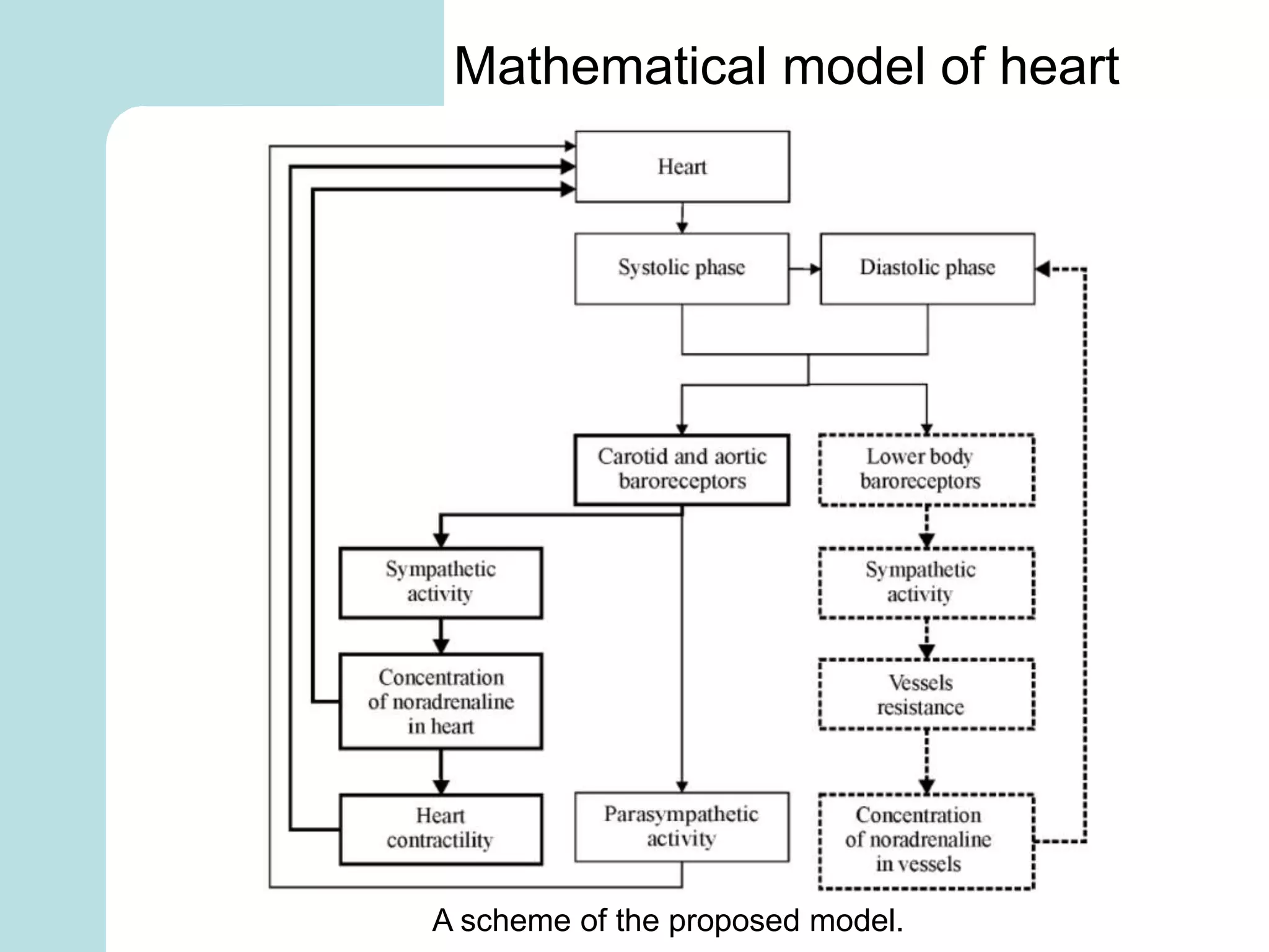A scheme of the proposed model.
Mathematical model of heart
 