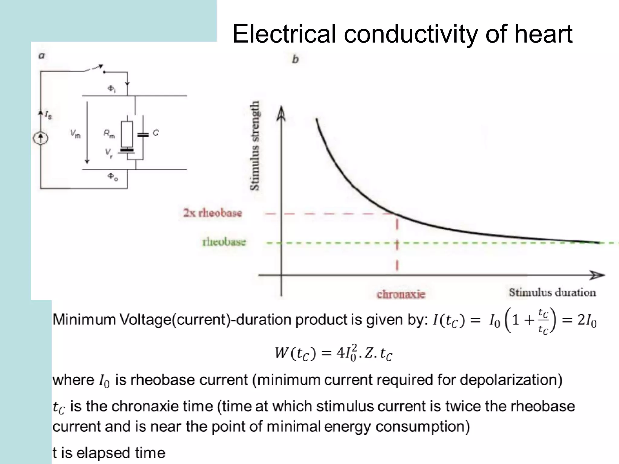 Electrical conductivity of heart
 