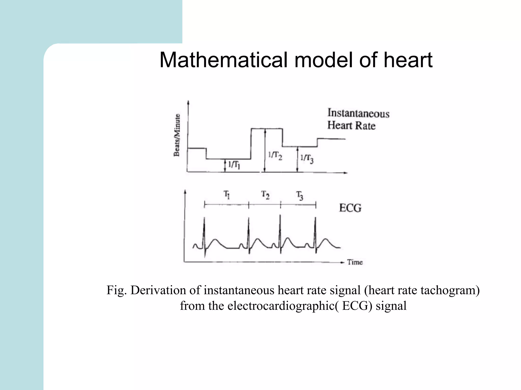 Mathematical model of heart
Fig. Derivation of instantaneous heart rate signal (heart rate tachogram)
from the electrocardiographic( ECG) signal
 