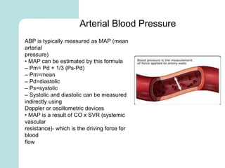 Map Heart Formula Mathematical modeling of health care system.ppt