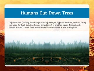 Humans Cut-Down Trees
Deforestation (cutting down huge areas of trees for different reasons, such as using
the wood for fuel, building houses or factories) is another cause. Trees absorb
carbon dioxide. Fewer trees means more carbon dioxide in the atmosphere.
 