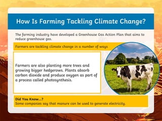 How Is Farming Tackling Climate Change?
The farming industry have developed a Greenhouse Gas Action Plan that aims to
reduce greenhouse gas.
Farmers are tackling climate change in a number of ways
Drones can be used to help farmers identify
areas in fields that need treating for issues,
such as weeds. The drone can target a certain
area of the field where the problem is.
Battery-powered robots are being developed
that will apply pesticides and fertilisers and
sow seeds. Because the seeds are being applied
one at a time, the need for ploughing will be
reduced. Large-scale ploughing disturbs the
top layer of soil and this releases a lot of
carbon dioxide.
Farmers are also planting more trees and
growing bigger hedgerows. Plants absorb
carbon dioxide and produce oxygen as part of
a process called photosynthesis.
Did You Know…?
Some companies say that manure can be used to generate electricity.
 