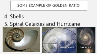 SOME EXAMPLE OF GOLDEN RATIO
4. Shells
5. Spiral Galaxies and Hurricane
 