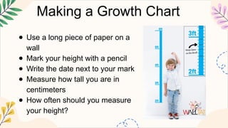 MATHEMATICS2 Q2 4 measure and compare lengths of objects, in meters .pptx