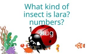 1
2
what are the
missing
numbers?
What kind of
insect is lara?
bug
 