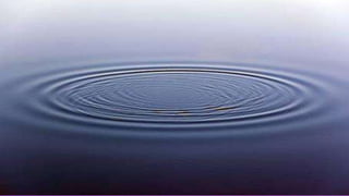 MATHEMATICS IN NATURE