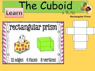 The Cuboid& The Net
 