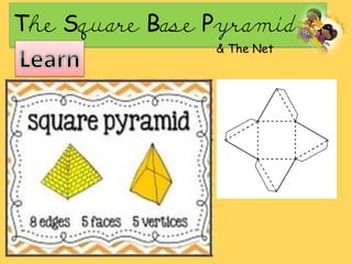 The Square Base Pyramid
& The Net
 