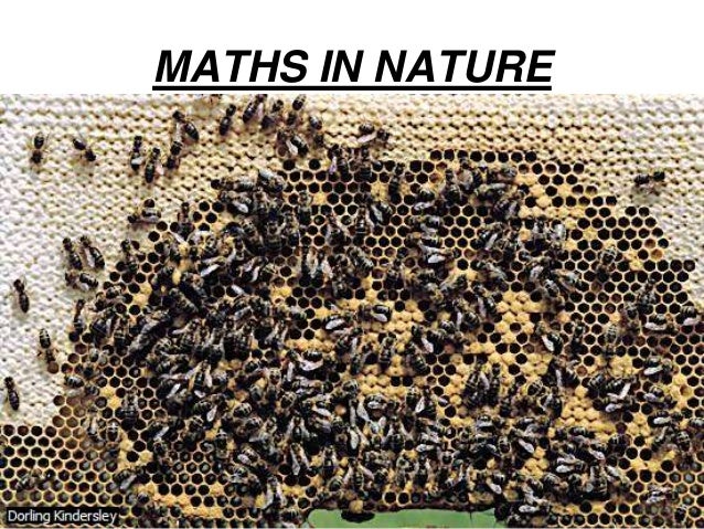 The Nature of MATHEMATICS 12th EDITION Karl J. Smith The Nature of MATHEMATICS 12th EDITION Karl J. Smith