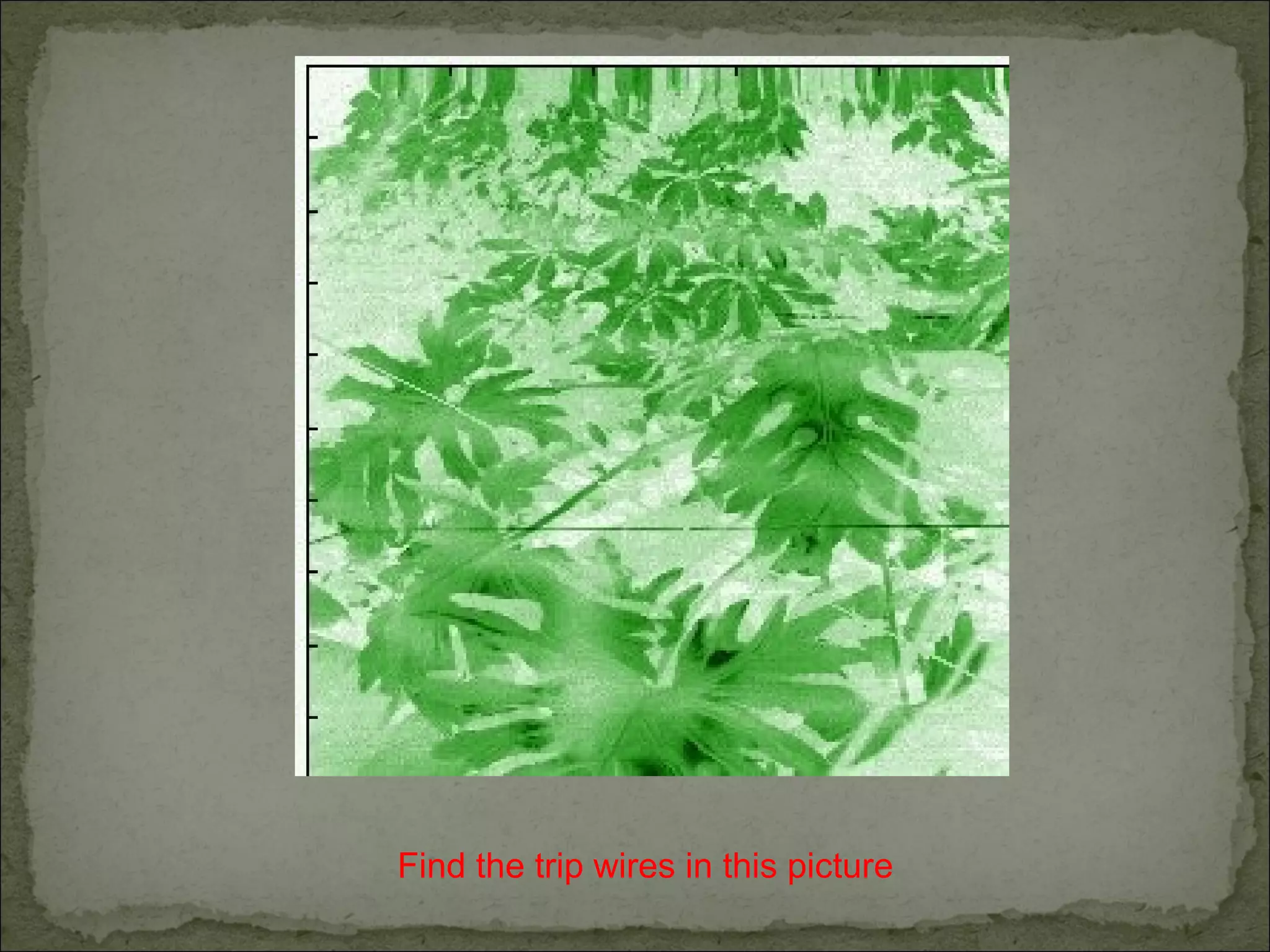 Find the trip wires in this picture
 