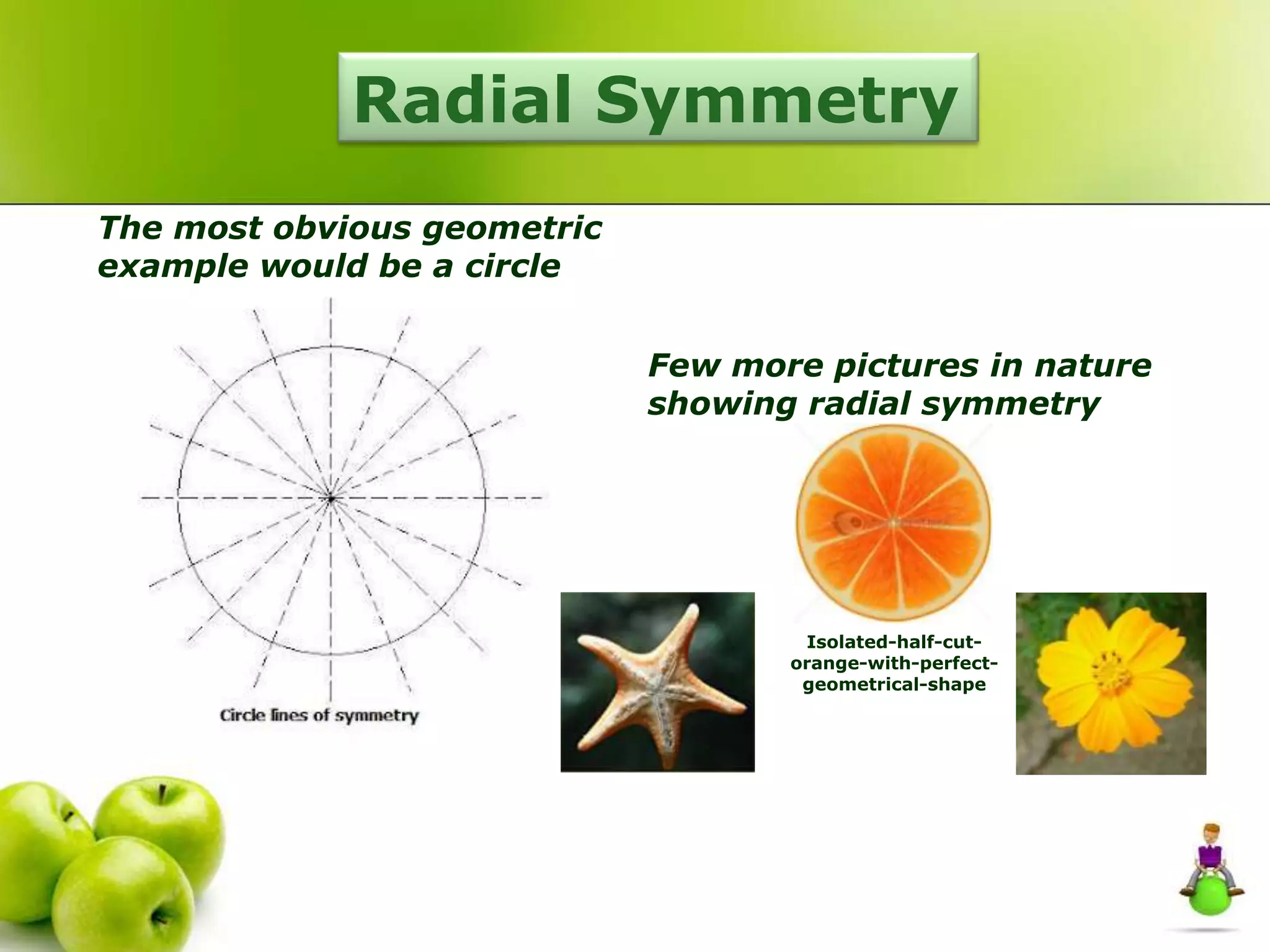 Radial Symmetry
The most obvious geometric
example would be a circle
Few more pictures in nature
showing radial symmetry
Isolated-half-cut-
orange-with-perfect-
geometrical-shape
 