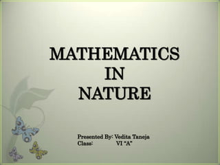 MATHEMATICS
IN
NATURE
Presented By: Vedita Taneja
Class: VI “A”
 