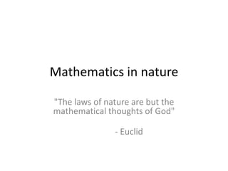 Exploring the Mathematical Patterns and Symmetry in Nature's Design | PDF